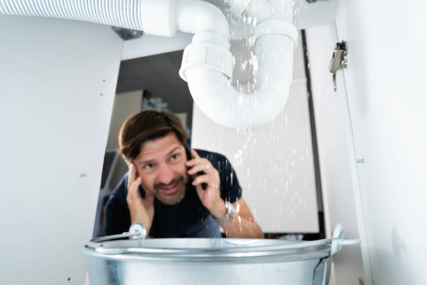 Best Sewer Line Repair  in Plainview, NE